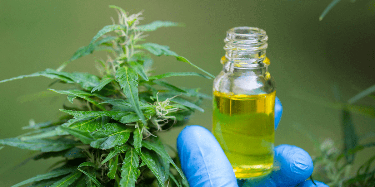 medical cannabis for cancer symptoms