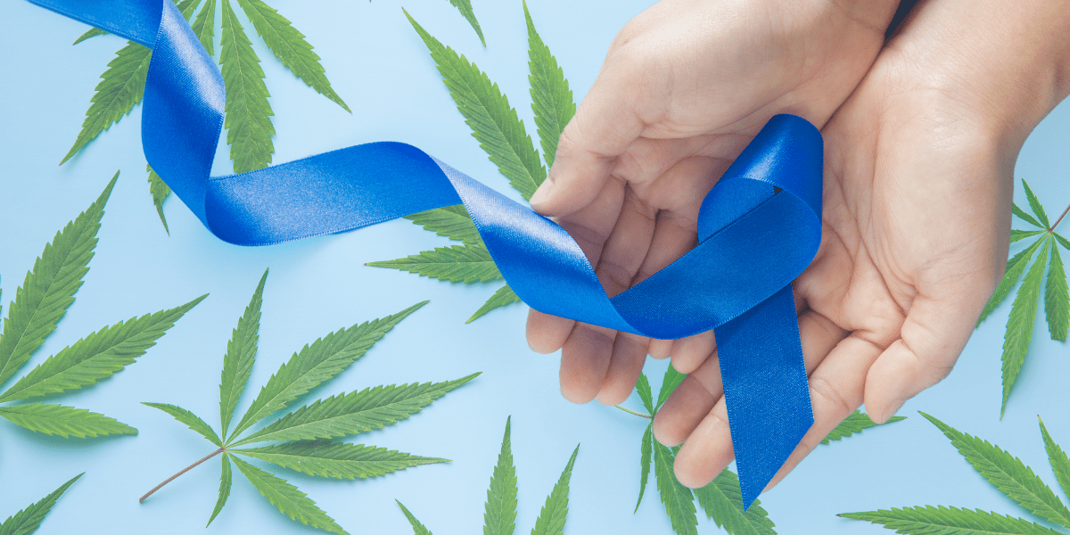 The Role of Cannabis in Managing Colon Cancer Symptoms
